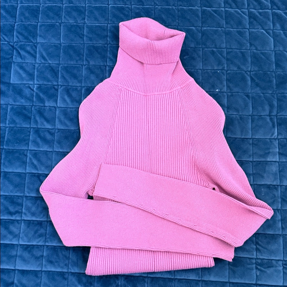 Banana Republic Purple Ribbed Turtleneck (XS)